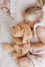 Charlie The Weighted Puppy Dog Toy - Mindful and Co Kids USA - Living with Ivey
