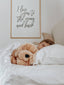 Charlie The Weighted Puppy Dog Toy - Mindful and Co Kids USA - Living with Ivey
