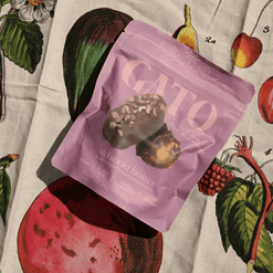 Chocolate Covered Dates with Almond Butter - Gato Dates - Living with Ivey