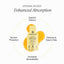 Cymbiotika | Liposomal Vitamin D3 + K2 + CoQ10 - Cymbiotika - Living with Ivey
