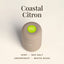 Roon Body | Coastal Citron Mini Deodorant