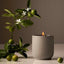 Homecourt | Mandarin Basile Candle