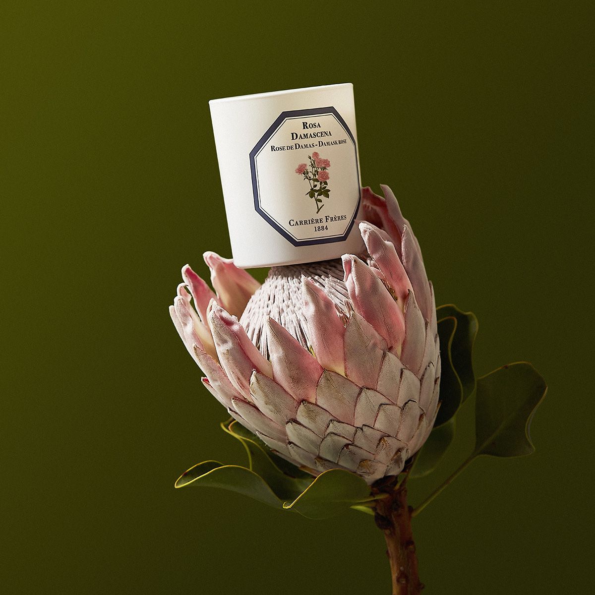Damask Rose Candle - Thumbnail 2