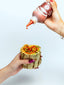 Shuug | Harissa Hot Sauce