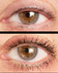 19/99 Beauty | Lash Tint Mascara - Black