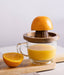 BIDKhome | Wood Juicer with Glass Cup