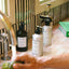 Flamingo Estate | Glass Roma Heirloom Tomato Hand Soap - Flamingo Estate - Living with Ivey