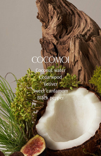Homecourt | Cocomoi Body Wash - Homecourt - Living with Ivey