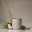 Homecourt | Mandarin Basile Candle - Homecourt - Living with Ivey