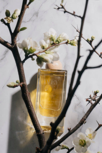 IVEY | Huile De Parfum Body Oil - IVEY - Living with Ivey