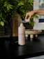 L'AVANT Collective | Blushed Bergamot Multipurpose Cleaner - L'AVANT Collective - Living with Ivey