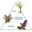 Lindry Lab | Laundry Detergent Scent 44 - Lindry Lab - Living with Ivey