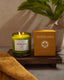 Nopalera | Todos Santos Candle - Nopalera - Living with Ivey