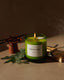 Nopalera | Todos Santos Candle - Nopalera - Living with Ivey