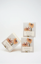 Orchard Sun Candle - The Quiet Botanist - Living with Ivey