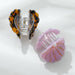 Pearl Seashell Claw Clip - Adorro - Living with Ivey