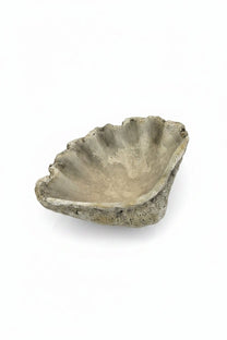 RowHouse | Concrete Clam Shell - ROWHOUSE - Living with Ivey