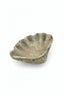 RowHouse | Concrete Clam Shell - ROWHOUSE - Living with Ivey