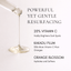 Saint Jane Beauty | Vitamin C Glow Drops - Brightening Serum - Saint Jane Beauty - Living with Ivey