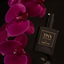 Saint Jane | Tinx Sex Elixir by Saint Jane - Saint Jane Beauty - Living with Ivey