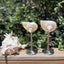 Sea Shell Glasses 4 - Piece Set - Kiyo Home - Living with Ivey