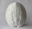 Sea Turtle Shell - House Parts, Inc. - Living with Ivey