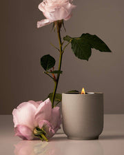 Signature Candle | Steeped Rose - Homecourt - Living with Ivey