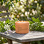 SKEEM | Aura Citronella 3-Wick Candle: Palo Santo - SKEEM - Living with Ivey