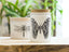 SKEEM | Citronella 3 - Wick Candle: Sea Salt - SKEEM - Living with Ivey