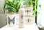 SKEEM | Citronella Verbena Outdoor Body Spray - SKEEM - Living with Ivey
