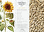 Sunflower Flaxseed Crackers - The Organic Pantry Co. - Living with Ivey