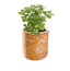 Esker | Terracotta Plantable Candle