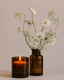 The Quiet Botanist | In The Weeds Candle - The Quiet Botanist - Living with Ivey
