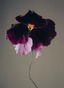 The Quiet Botanist | Moody Blooms Candle - The Quiet Botanist - Living with Ivey
