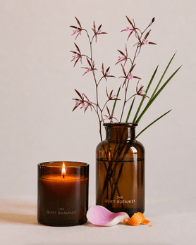 The Quiet Botanist | The Exotics Candle - The Quiet Botanist - Living with Ivey
