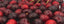 Vitruvi | Sweet Cherry Drive Car Air Freshener Refill - Vitruvi - Living with Ivey