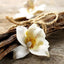 Vitruvi | Vanilla Mint Push Wall Diffuser Refill - Vitruvi - Living with Ivey