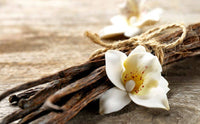 Vitruvi | Warm Vanilla Drive Car Air Freshener Refill - Vitruvi - Living with Ivey